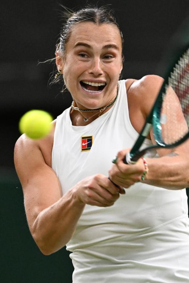 疑是一场充 疑是一场充