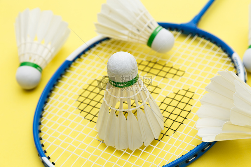 球迷看着他 球迷看着他